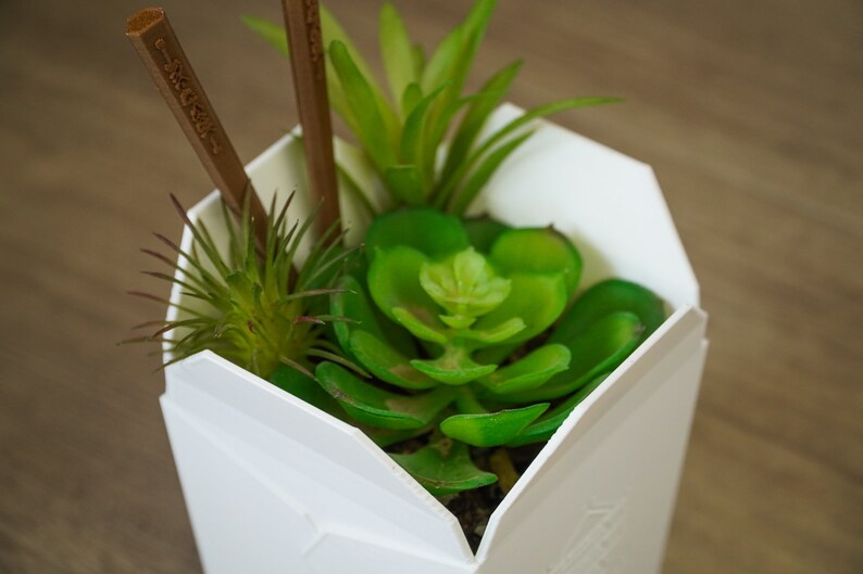 3D Printed Chinese Takeout Box Planter / Flowerpot Etsy