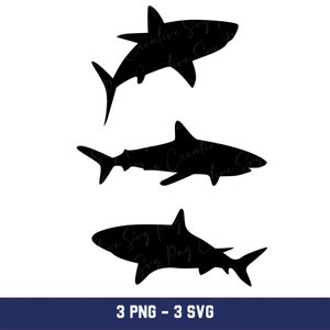 Shark Svg, Shark Fish Svg, Shark Png, Shark Fish Png