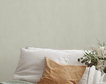 Light Green Plaster Look Wallpaper - Minimalist Textured Japandi Style Peel and Stick Wall Mural S150