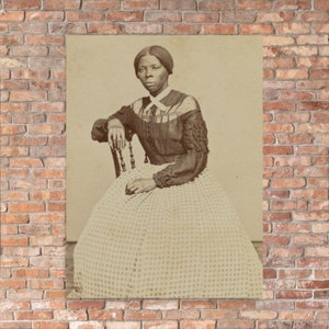 Harriet Tubman 1868 Poster