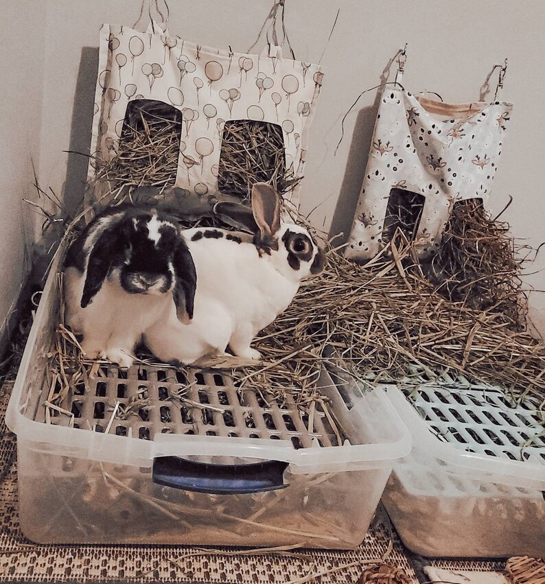 Forbidden Cocoa Puffs Rabbit Poop Fertilizer / Rabbit Manure / Etsy