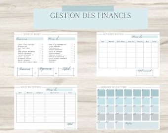 Financial management income expenses to download / print printable