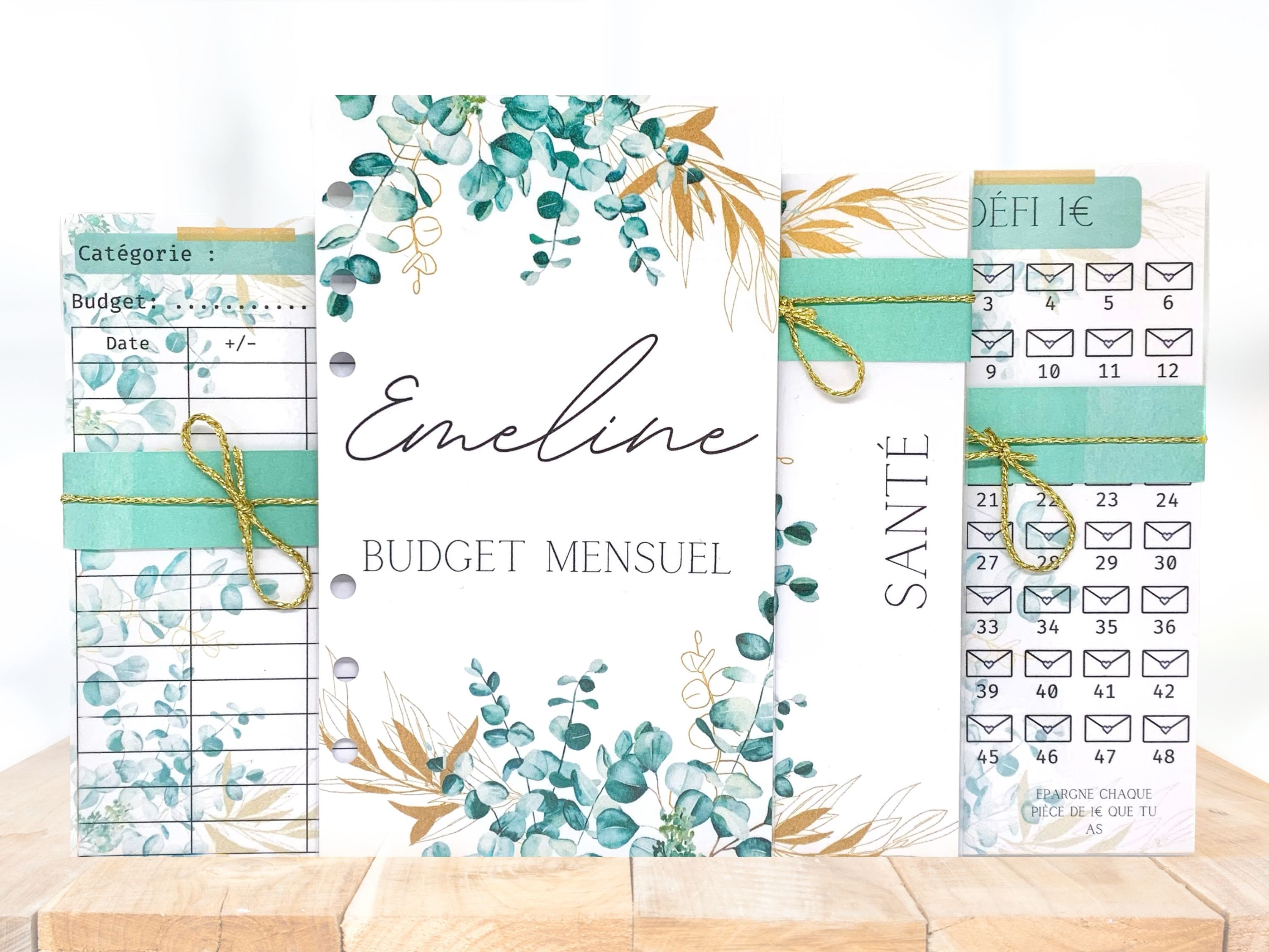 Classeur Budget,Classeur Enveloppe Budget Set,Budget Planner  Français,Carnet Budget,mini Classeur avec 12 Pochette Budget,Cahier Budget  avec Enveloppe