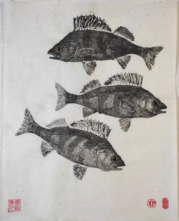 登場! Perch Fish Print, Gyotaku Original, Gifts for Him, Nature 絵画