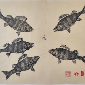 Perch Fish Print, Original Gyotaku Art, Japanese Ink Painting