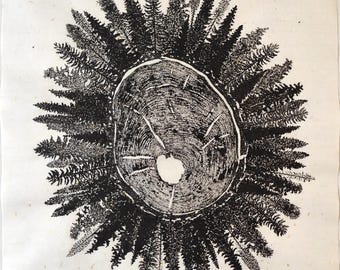 Tree Ring Linocut Art Print, Japanese Nature Decor on Rice Paper