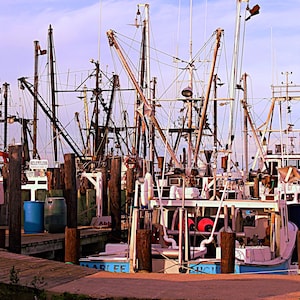 Viking Village Boat Yard - Long Beach Island - New Jersey Shore