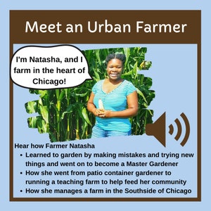 Learn About Community Gardens & Meet an Urban Farmer image 2