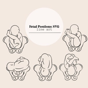 Foetale posities SVG lijntekeningen | Baby geboorteposities lijntekening | Verloskundige lijn digitaal bestand | Lasersnijden Direct downloaden | SVG-bestand