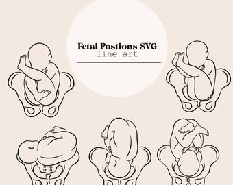 Fetal Positions SVG Line Art | Baby Birth Positions Line Drawing | Midwife Line Digital File | Laser Cutting Instant Download | SVG file