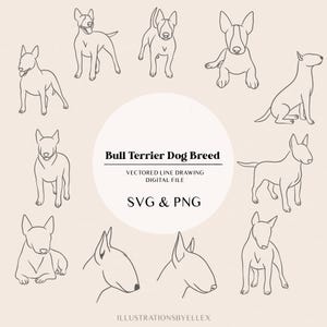 Bull Terrier Dog Line Art | Dog Puppies Line Drawing | Bull Terrier dog Line Drawing | Laser Cutting Instant Download | SVG & PNG file