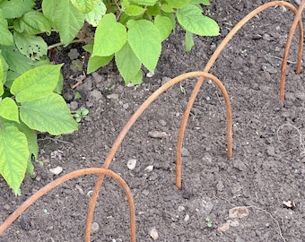 Rusted garden border edging hoops