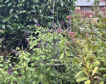 LARGE garden obelisk plant supports