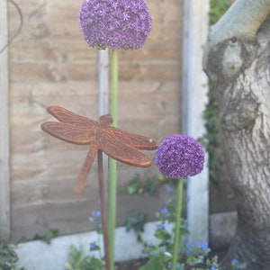 Rusty dragonfly plant support / decorative border stake