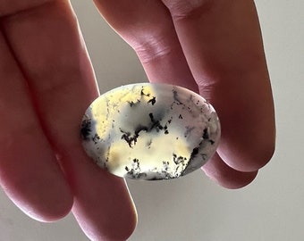 May include: A close-up of a white, grey and black oval-shaped agate stone with dendritic patterns. The stone is being held in a hand.