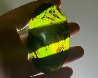 May include: An oval-shaped, polished stone with a vibrant green and black striped pattern. The stone is held in a hand, and the light shining through it highlights the color variations and textures. The stone's surface appears smooth and reflective.
