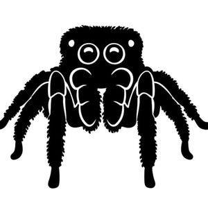 Jumping Spider Decal