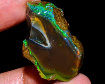 May include: A rough-cut opal gemstone with a dark brown base and vibrant flashes of green, blue, and orange. The stone has a polished, glossy appearance with a natural, uneven texture. The opal is held between fingers against a black background.