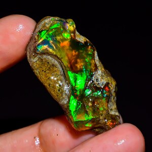 May include: A rough, uncut opal gemstone with vibrant colors. The opal displays flashes of green, orange, and red within a brown matrix. The gemstone is held between fingers against a black background, highlighting its natural beauty.