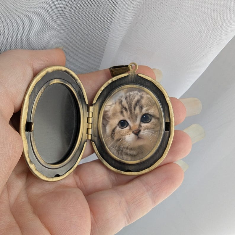 Vintage Cat Lovers Cameo Locket Necklace – Bronze or Silver, Cat ...