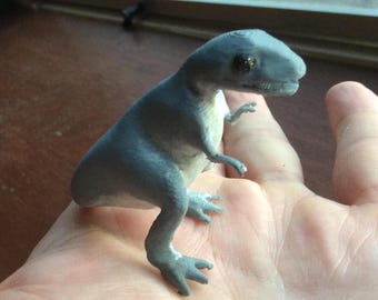 Junior -  1974 Land of the Lost