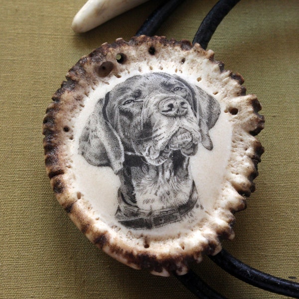 Scrimshaw, Bolo Tie, Deer Antler, Bone, Handmade, Necklace, Gift, German Vizsla, dog