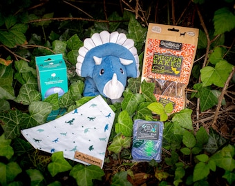 Dinosaur Dog Eco Friendly Gift Bag