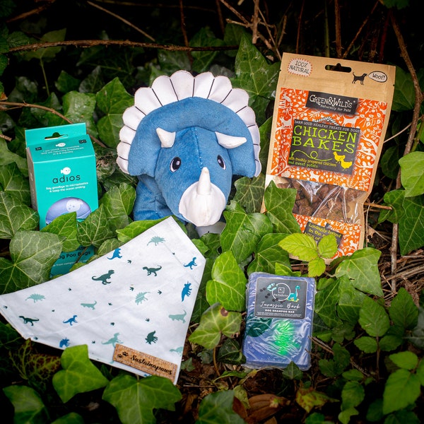 Dinosaur Dog Eco Friendly Gift Bag