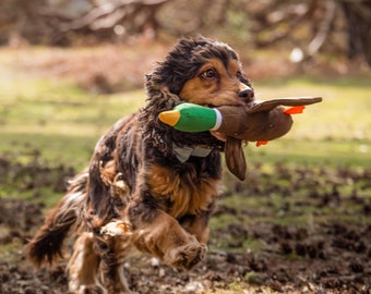 Duck Eco Plush Dog Toy, Made From Recycled Plastic, Doubled Layered For Toughness