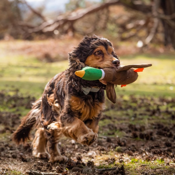 Duck Eco Plush Dog Toy, Made From Recycled Plastic, Doubled Layered For Toughness