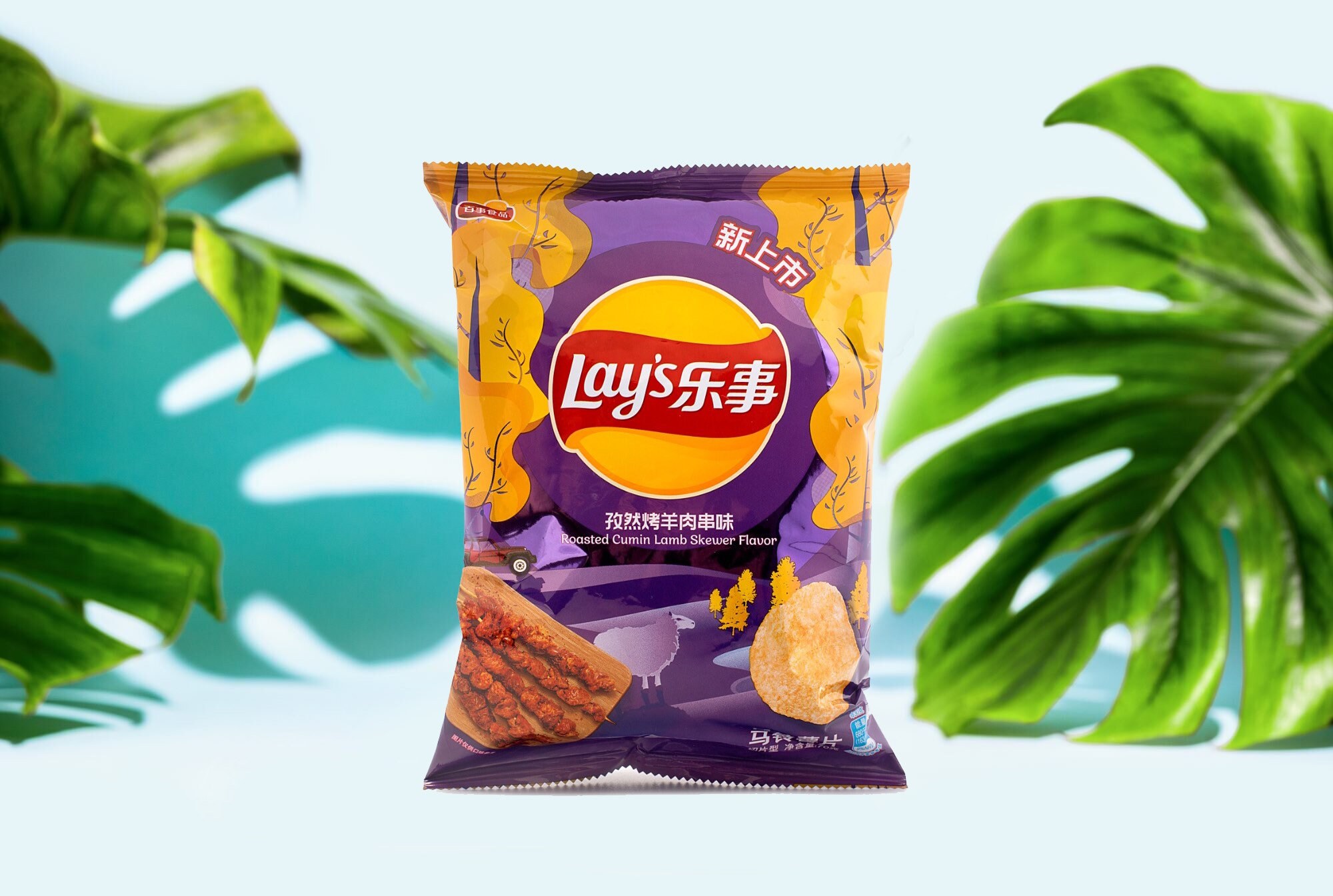 Exotic Lays Chips Etsy