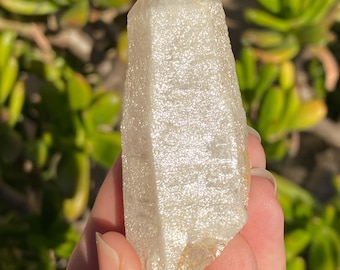 Rare Find Shimmery Unicorn Quartz - Druzy, Protection, Integration, Angelic Realms