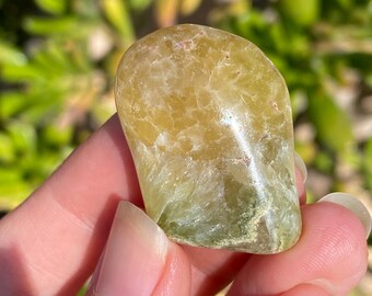 Rare Golden Prehnite Palm Stone - Wave Hill Australian Prehnite