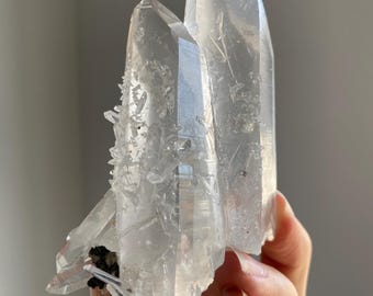 Colombian Lemurian Quartz Crystal: Phantom Tantric Twin, Rainbow Abundance