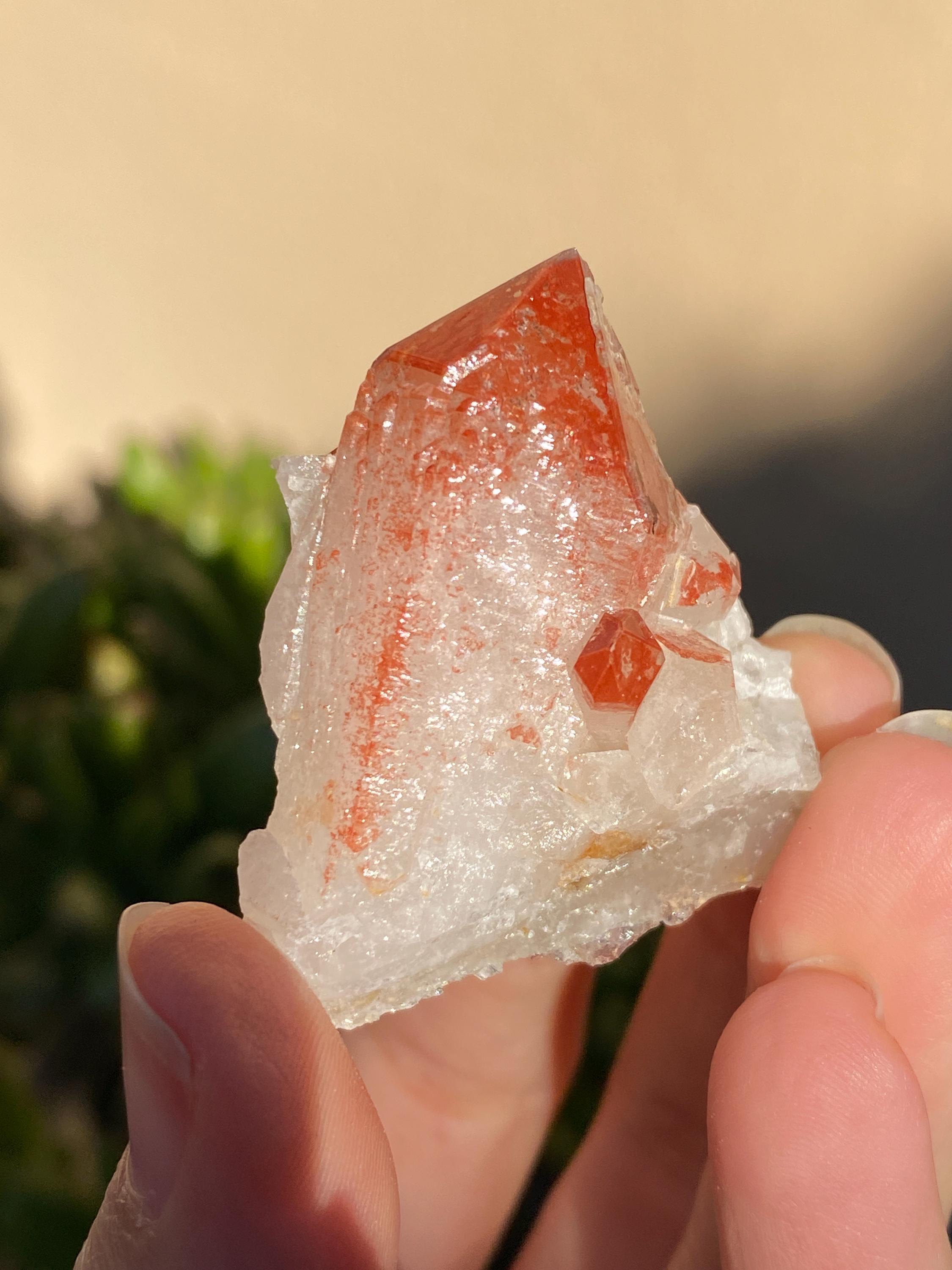 インド産 ヒマラヤ水晶 クラスター 大型標本 原石 特注木製台座 高