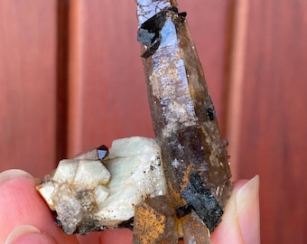Smoky Quartz with Aegerine on Feldspar