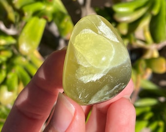Rare Golden Prehnite Palm Stone - Wave Hill Australian Prehnite