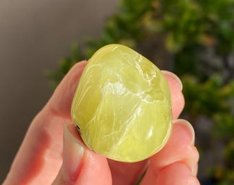 Rare Golden Prehnite Palm Stone - Wave Hill Australian Prehnite #5