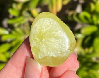 Rare Golden Prehnite Palm Stone - Wave Hill Australian Prehnite