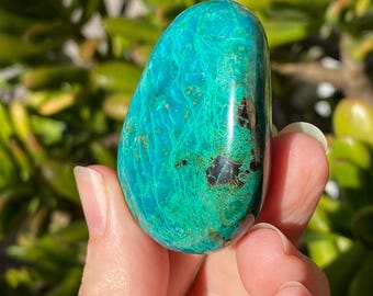 Vibrant Chrysocolla Palm Stone, soothing green and blue ocean waves