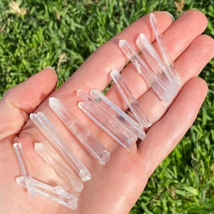 May include: A collection of clear quartz crystal points, varying in size and shape, held in an open hand. The crystals are translucent and reflect light, with visible internal structures. The background is blurred green grass.