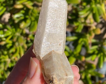 Rare Druzy Unicorn Quartz - Protection, Integration, Angelic Realms