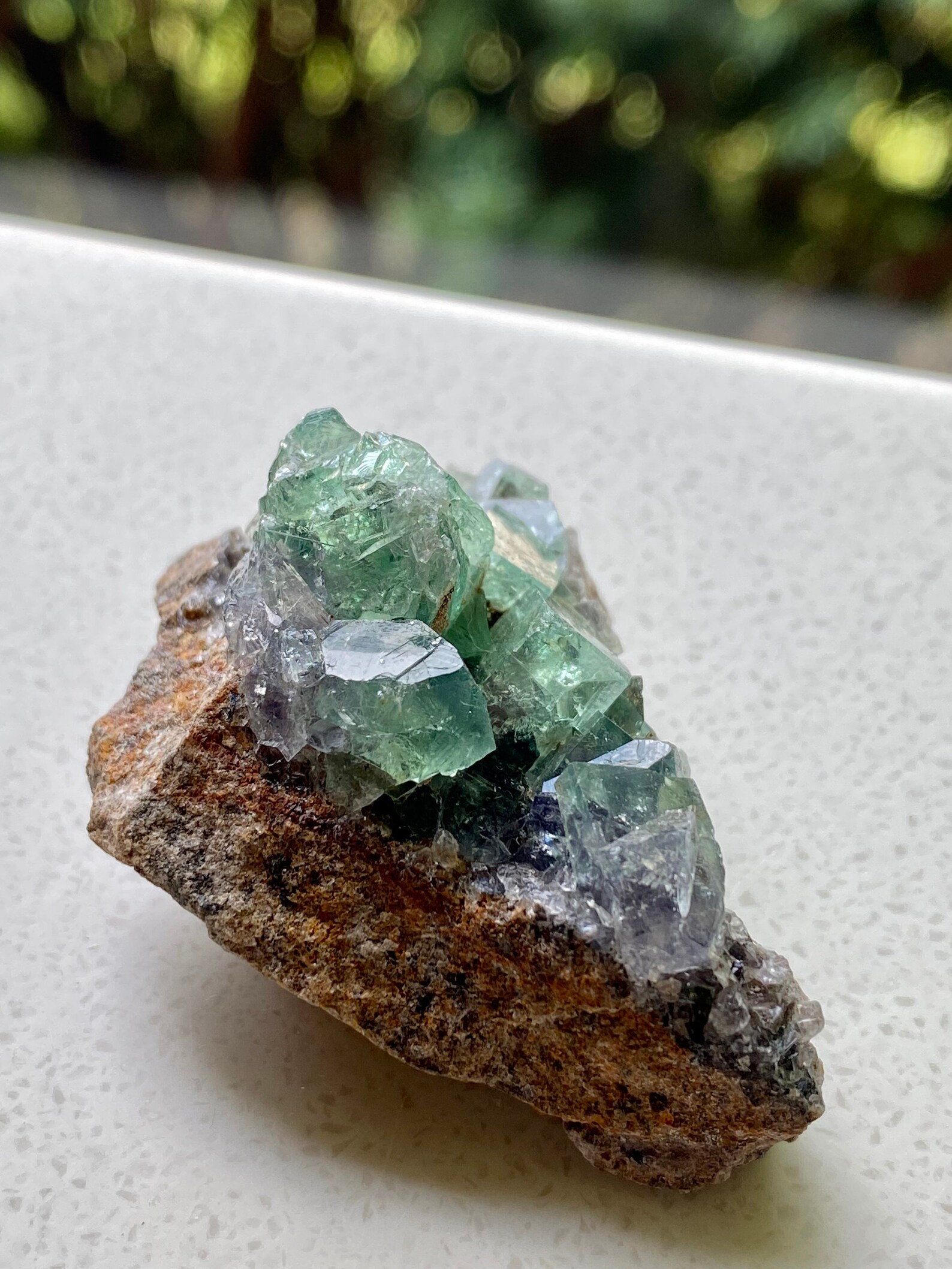 ColorChanging Fluorite Specimen Etsy