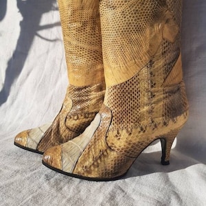 May include: A pair of knee-high boots made of brown and beige snakeskin with a pointed toe and a stiletto heel.