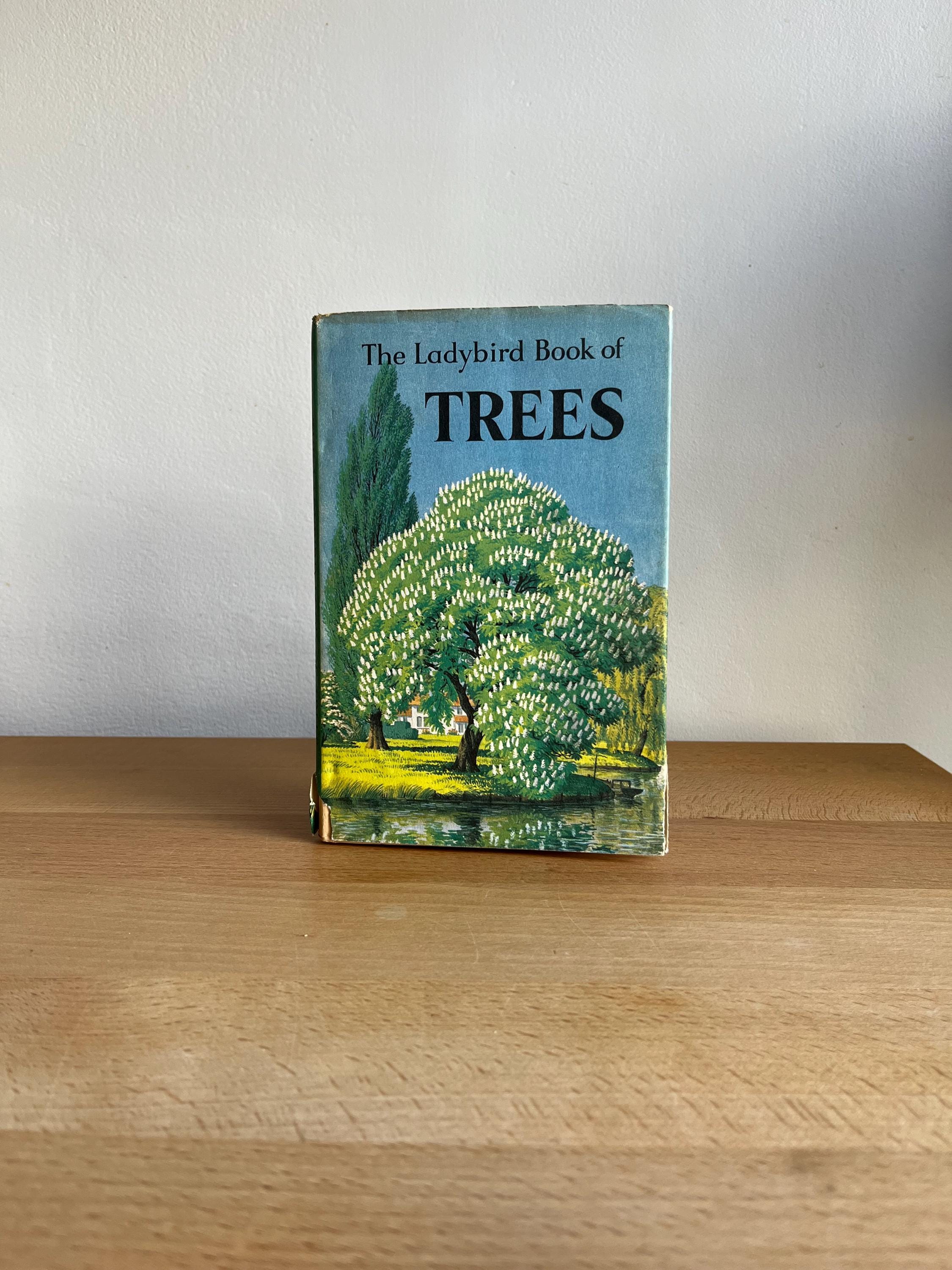 Trees A Ladybird Book Vintage Children's Nature Book 1960s