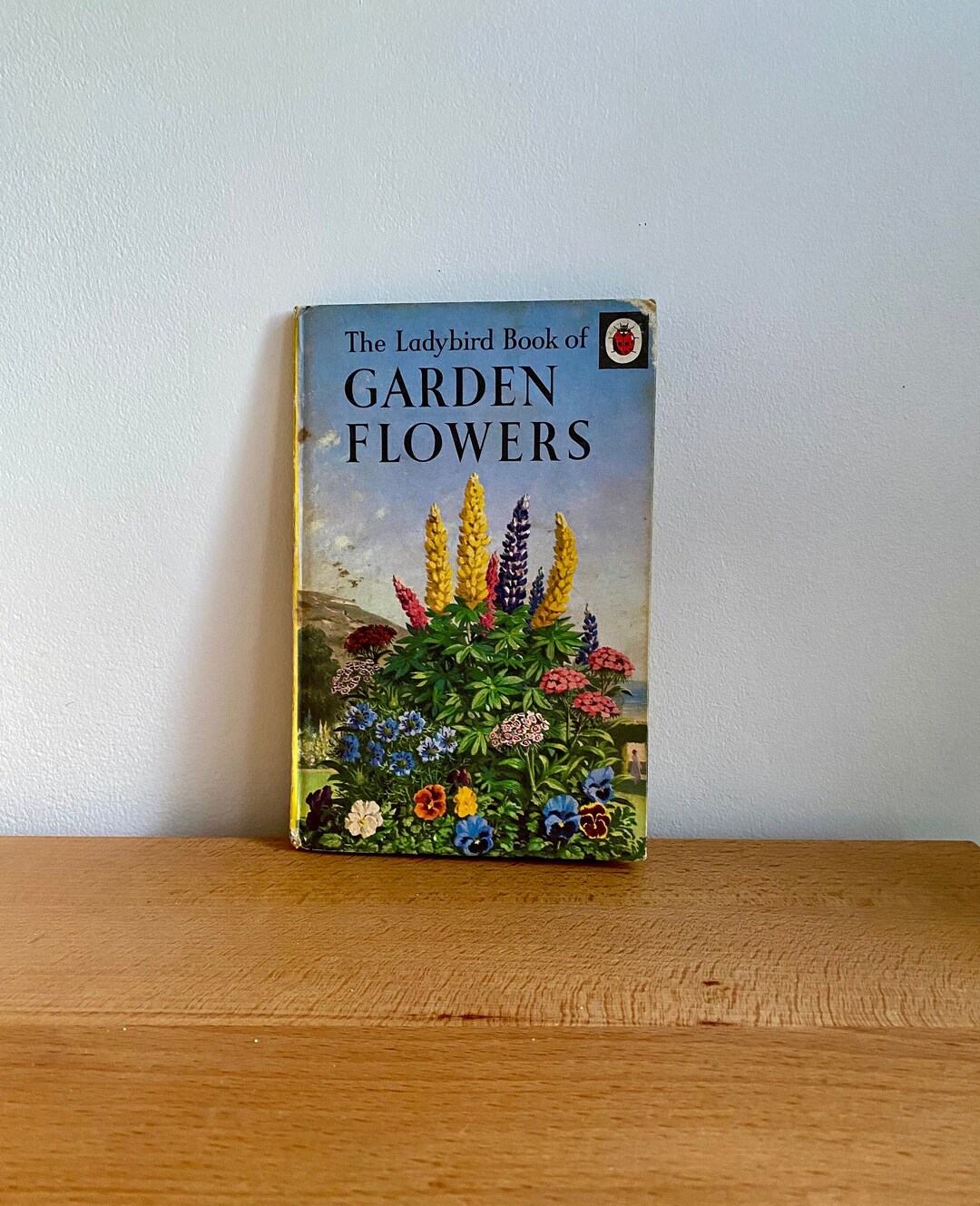 Ladybird Well Loved Tales Vintage Hardback Books - Series