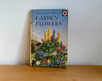 洋書  Family Ladybird Books Ladybird Books 1950/60/70s Hardbacks- Various Titles -sold
