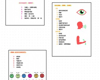 May include: A printable checklist for medical professionals. The checklist includes sections for primary and secondary surveys, pain assessments, and the Glasgow Coma Scale. The checklist is illustrated with cartoon images of an ambulance, an eye, a head, and an arm.