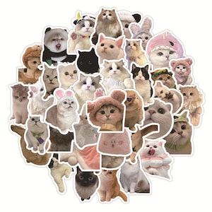Whimsical Cat/Dog Sticker Collection（60 stickers）