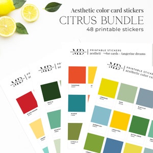 Citrus Printable color swatch pantone style planner and bujo aesthetic stickers, Junk journal, Print and cut tags image 1
